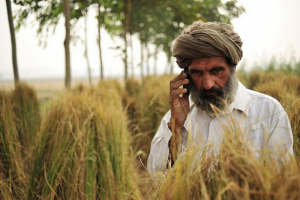 Read more about the article COVID-19 Latest: Helpline Numbers Issued for Farmers for any Farm-related Issues amid Lockdown