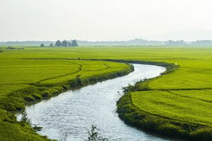 Read more about the article Water in agriculture: Revisiting priorities in times of COVID-19