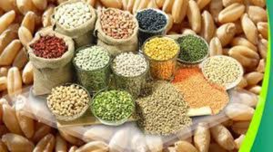 Read more about the article Bihar Beej Anudan Yojana-Buy Quality Seeds