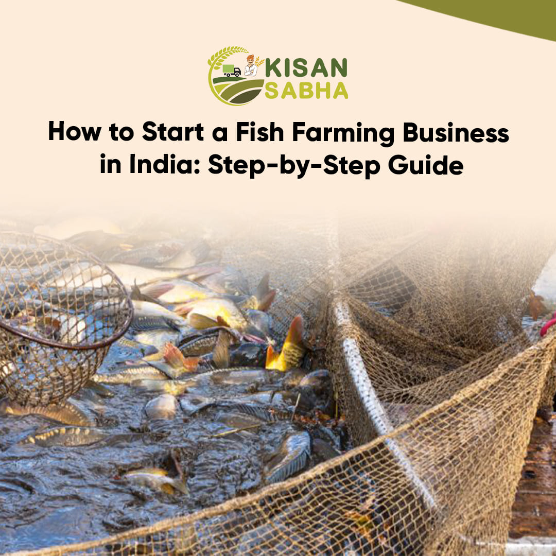 Read more about the article How to Start a Fish Farming Business in India: Step-by-Step Guide