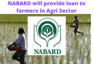 Read more about the article Good News for Farmers: NABARD to Provide Loan in Agri Sector