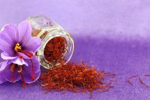 Read more about the article You Can Become Rich by Cultivating Saffron
