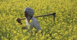 Read more about the article Good News! Punjab Government agrees to implement Direct Bank Transfer for Farmers.