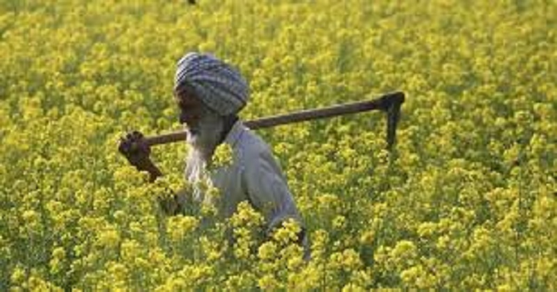 punjab-farmer