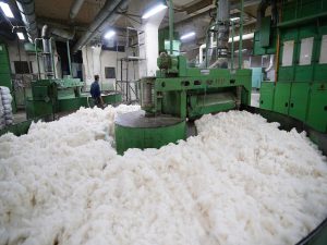 Read more about the article Cotton Consumption to Drop by 8 Percent Due to Current Covid-19 Wave