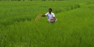 Read more about the article COVID-19 second wave will not impact India’s Agri sector: Niti Aayog