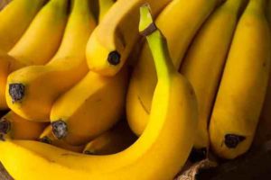 Read more about the article India starts exporting GI-certified Jalgaon banana to Dubai