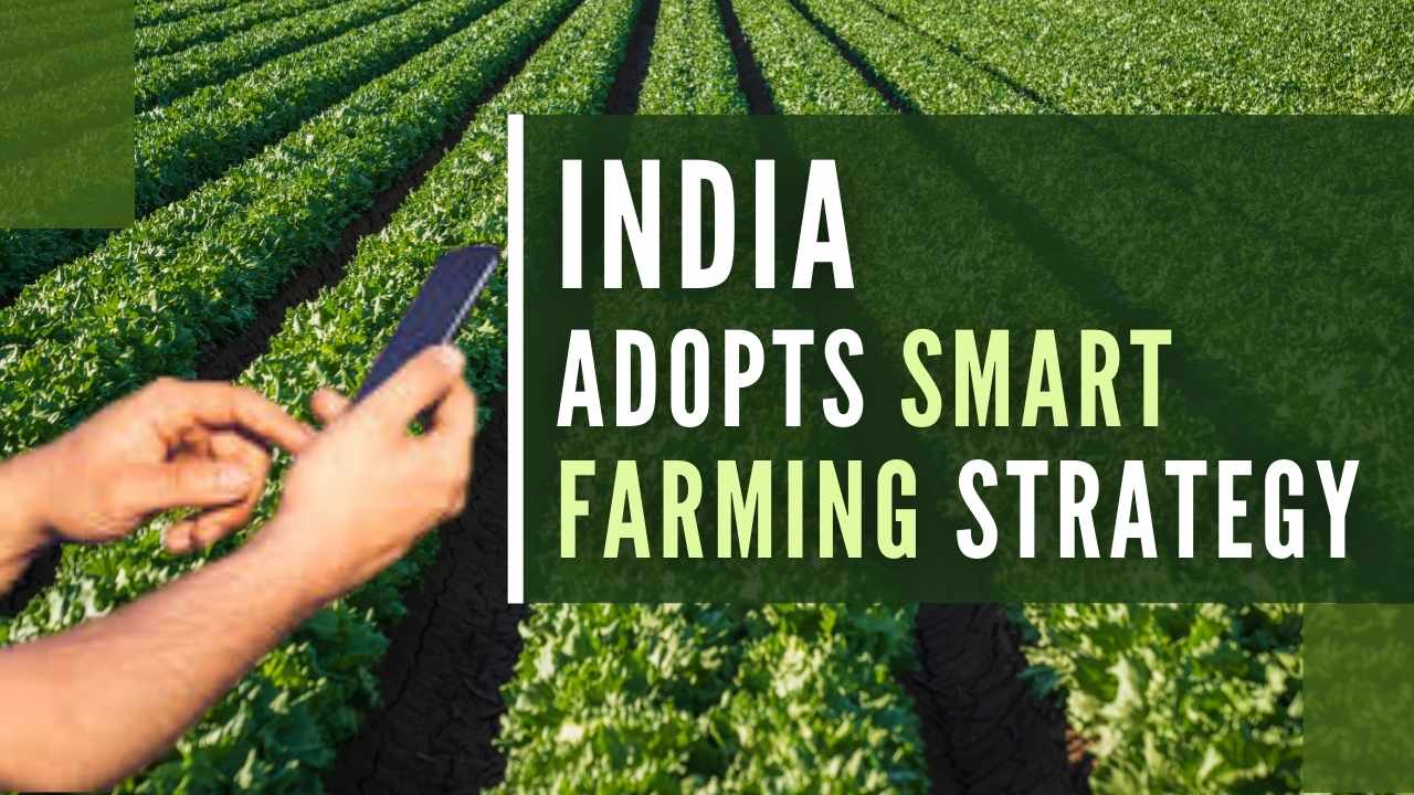 Read more about the article India Adopts Smart Farming Strategy To Boost Small Farmers’ Fortunes