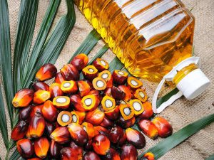 Read more about the article Godrej Agrovet signs MoUs with Assam, Manipur and Tripura to promote oil palm cultivation