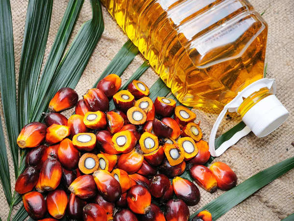 Read more about the article Godrej Agrovet signs MoUs with Assam, Manipur and Tripura to promote oil palm cultivation