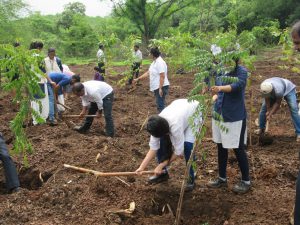 Read more about the article Tata Motors transforms livelihoods of 2,000 farmers in Maharashtra