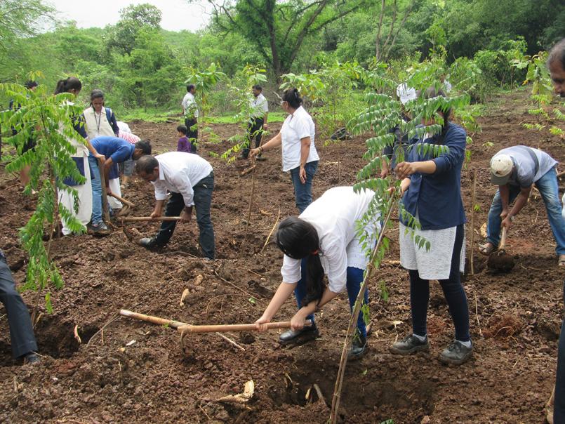 Tata Motors transforms livelihoods of 2,000 farmers in Maharashtra