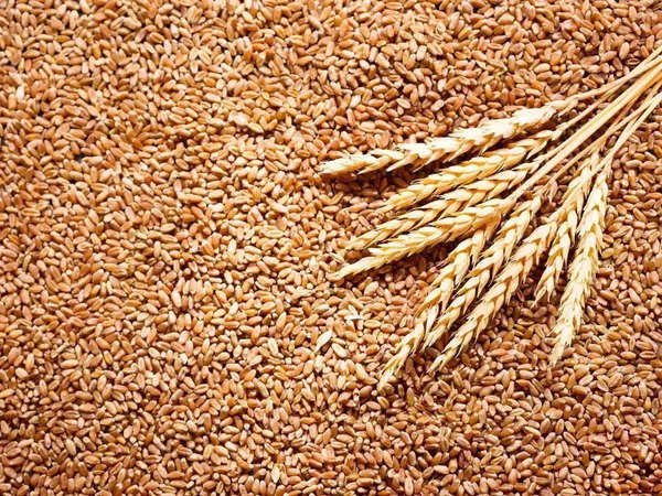 Reliance Retail's bid price for 40,000 T Haryana wheat signals shortage
