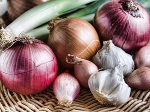 Read more about the article Excess output hits onion garlic farmers