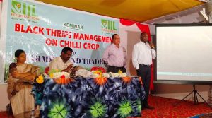 Read more about the article IIL Foundation organizes a Seminar on the Management of Black Thrips in Chilli Crop for Input Dealers and Farmers
