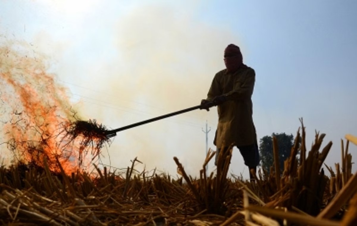 Stubble burning: Punjab govt suspends four agriculture officers for dereliction of duty