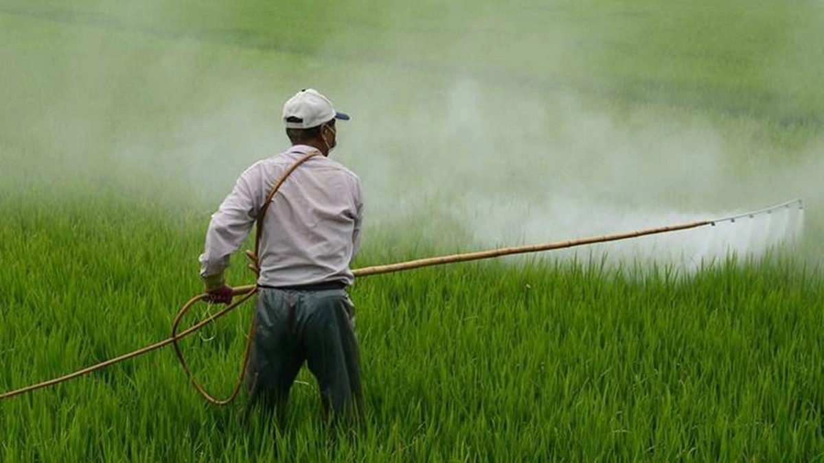 Centre refutes any shortage of fertilisers in rabi season, says there is enough supply