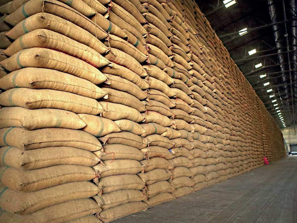 Govt's paddy procurement up 12 pc at 170.53 lakh tonnes till Oct