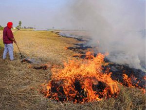 Read more about the article IARI Trying Higher Yield in Short-Duration Rice Varieties to Stop Stubble Burning in Punjab