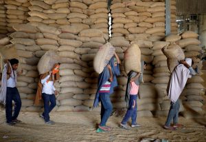 Read more about the article India set to offer wheat to flour millers, biscuit makers to tame prices: Sources