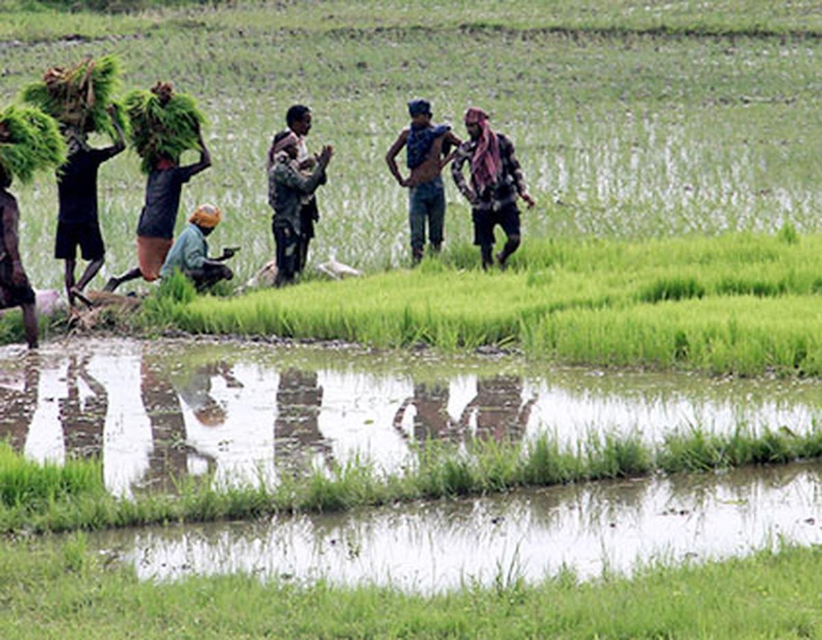 PMFBY number one crop insurance scheme globally in terms of farmers enrollment: Tomar