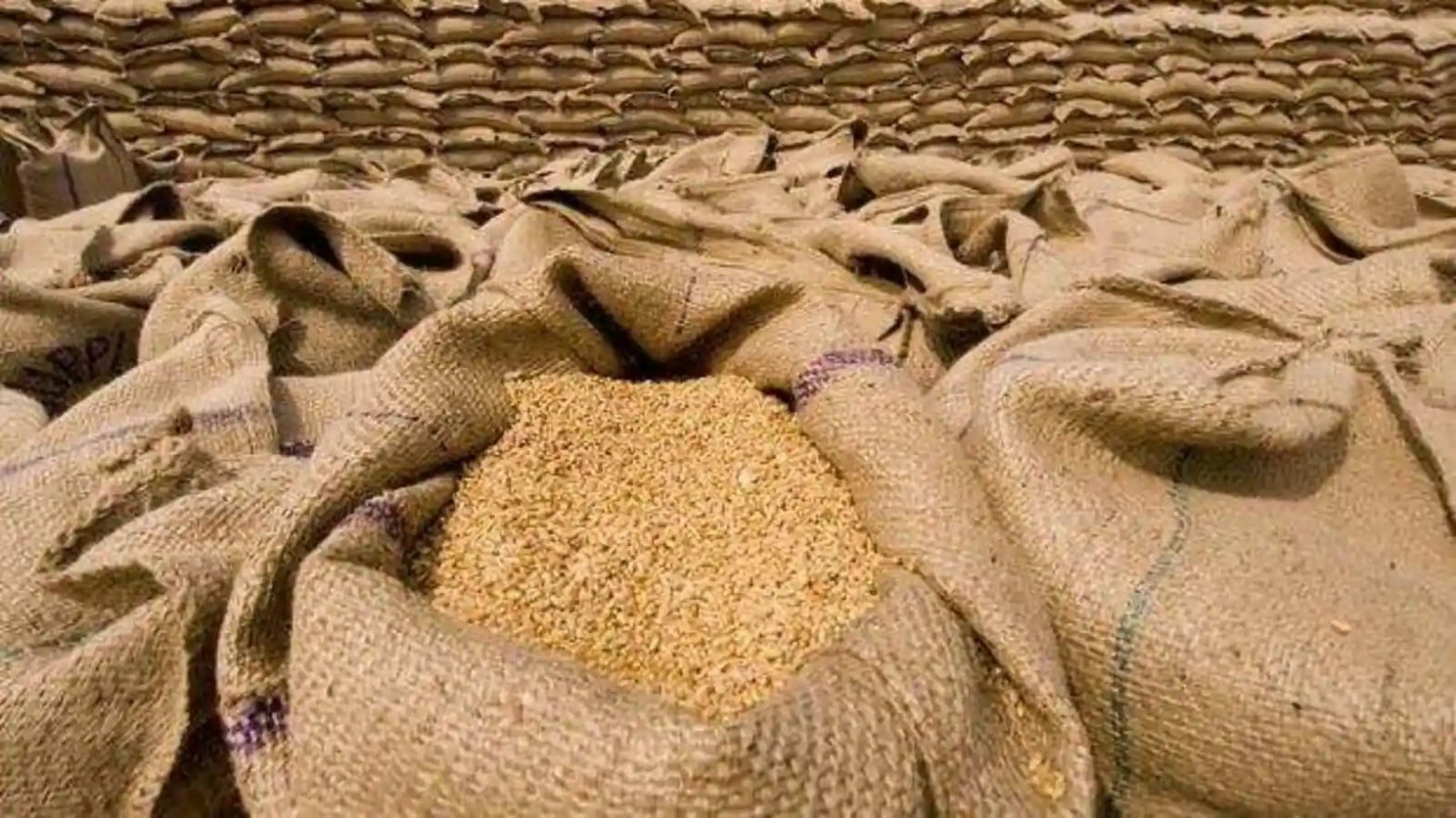 Govt offloads 5.08 lakh ton wheat in third round of e-auction