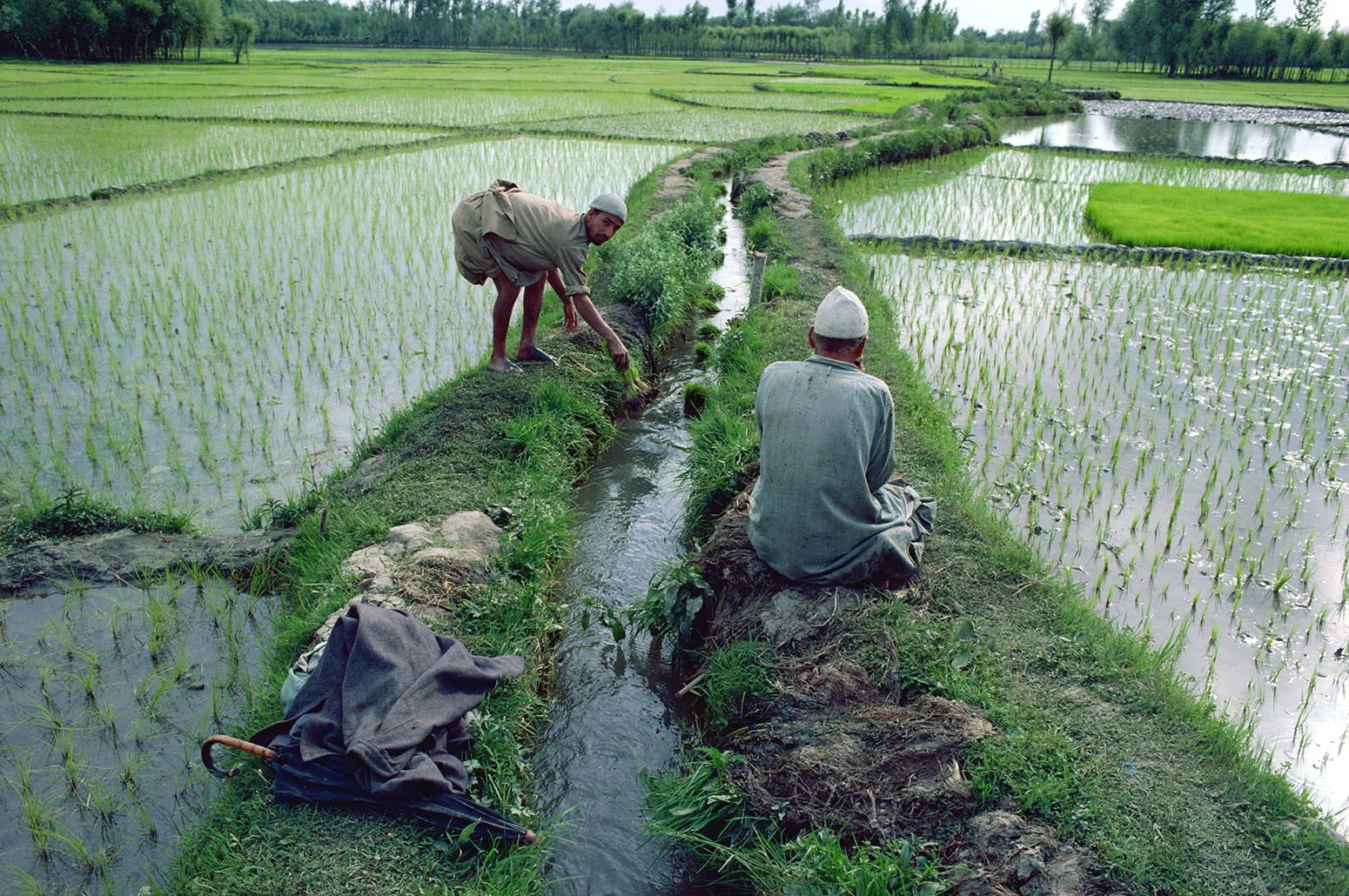 J&K administration approves project worth Rs 463 crore to empower farmers