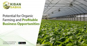 Read more about the article Potential for Organic Farming and Profitable Business Opportunities