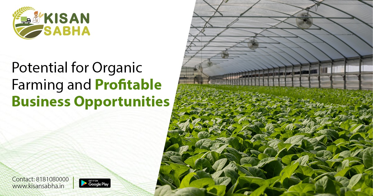 Potential for Organic Farming and Profitable Business Opportunities
