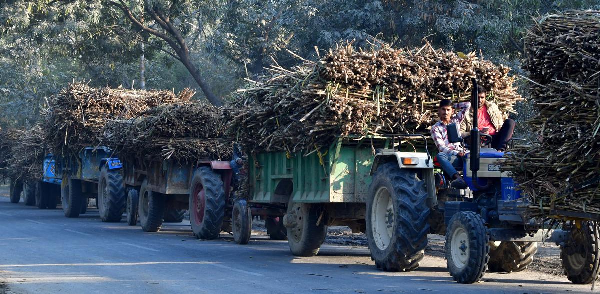 Sugar output falls 3 pc to 299.6 lakh tonnes in October-March of 2022-23 market year