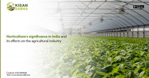 Read more about the article Horticulture’s significance in India and its effects on the agricultural industry