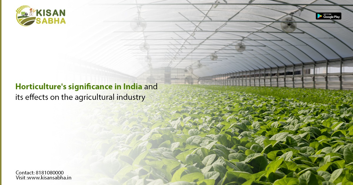 Horticulture's significance in India and its effects on the agricultural industry