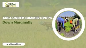 Read more about the article Area under summer crops down marginally
