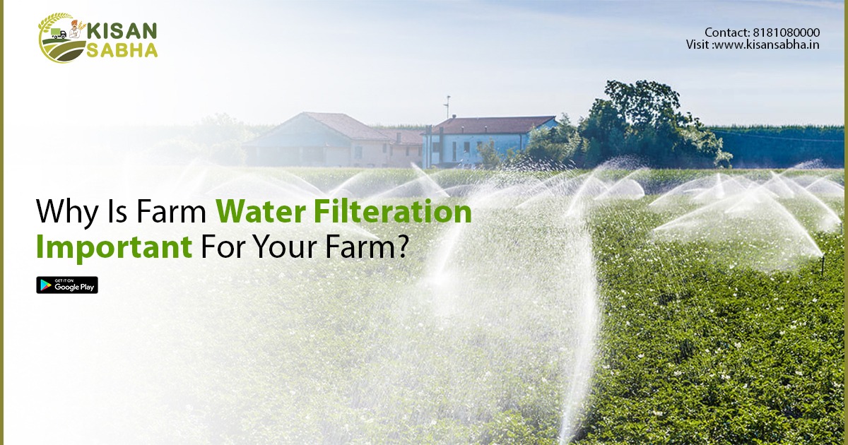 WHY IS FARM WATER FILTERATION IMPORTANT FOR YOUR FARM?