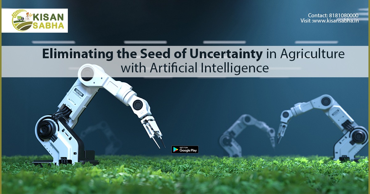 Eliminating the Seed of Uncertainty in Agriculture with Artificial Intelligence