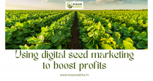 Read more about the article Using digital seed marketing to boost profits