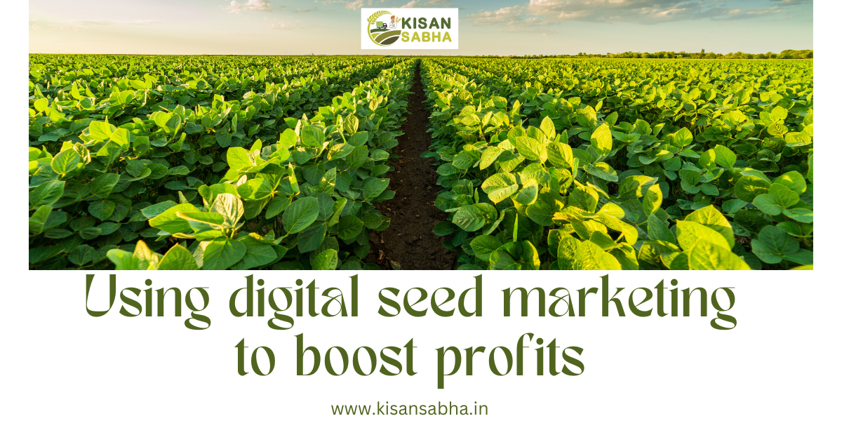Using digital seed marketing to boost profits
