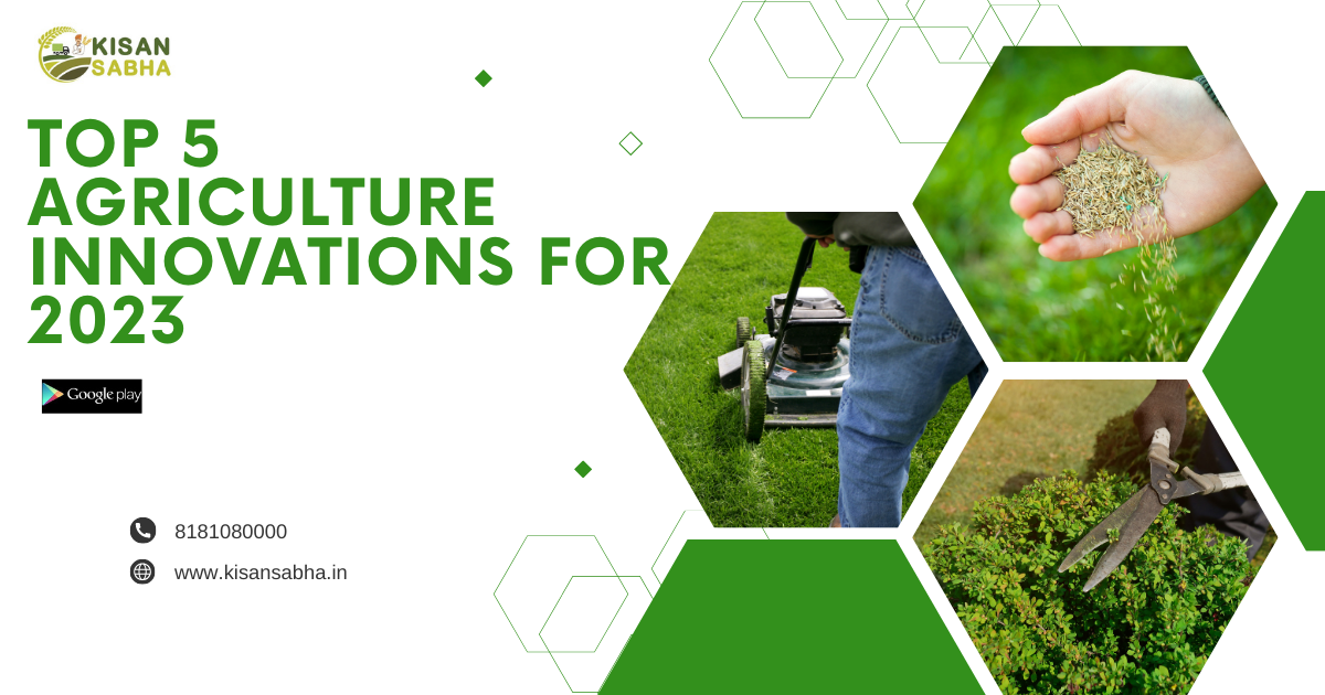 Top 5 Agriculture Innovations for 2023