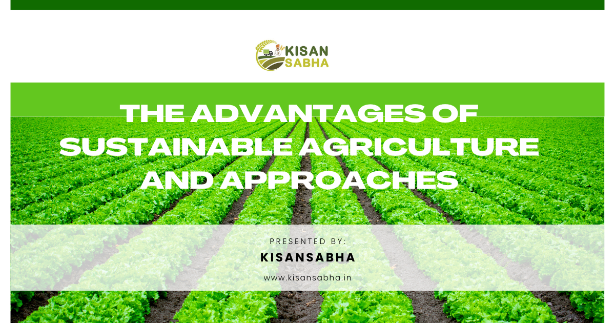 The advantages of sustainable agriculture and approaches