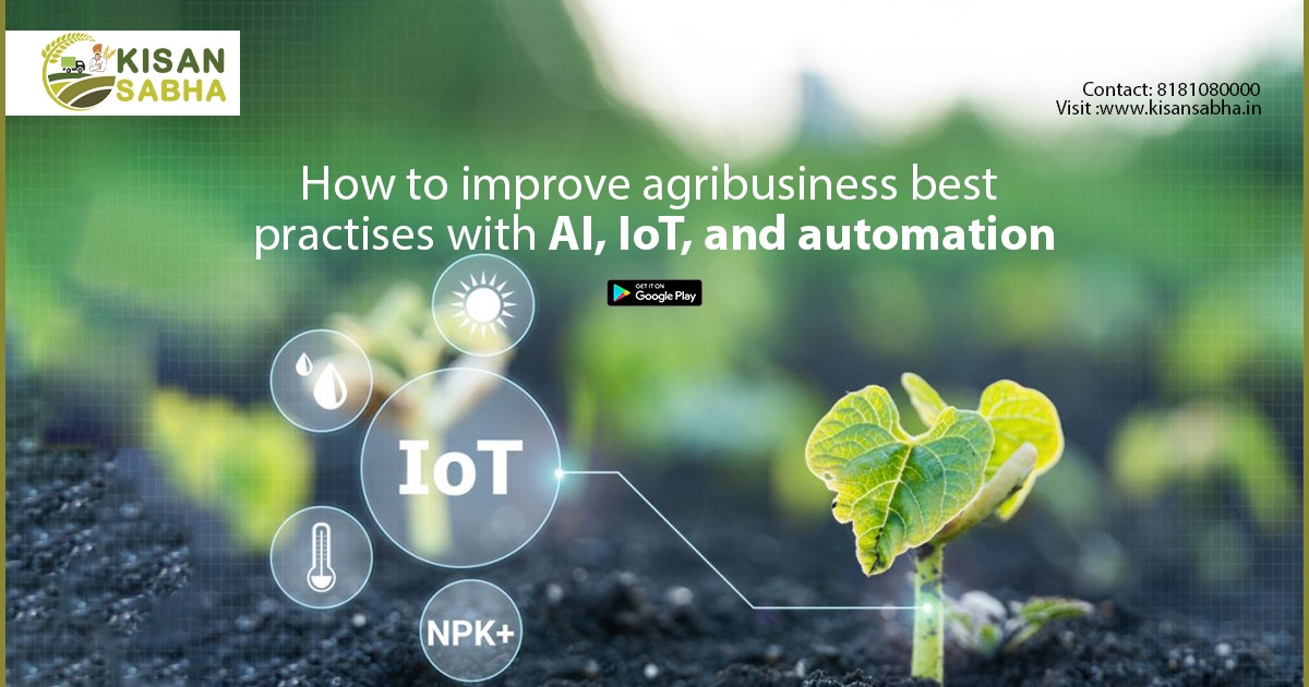 How to improve agribusiness best practises with AI, IoT, and automation