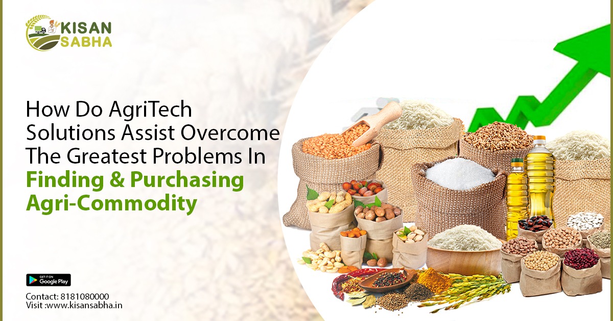 How Do AgriTech Solutions Assist Overcome The Greatest Problems In Finding & Purchasing Agri-Commodity?