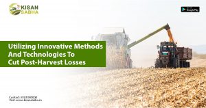 Read more about the article Utilizing Innovative Methods And Technologies To Cut Post-Harvest Losses