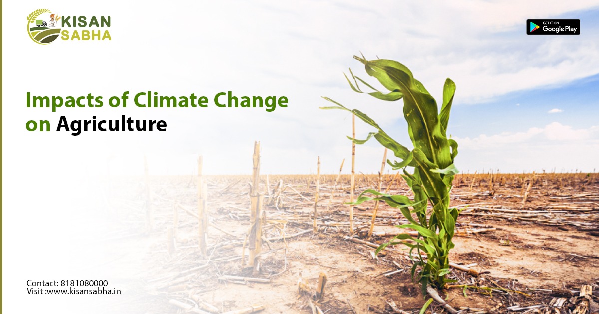 Impacts of Climate Change on Agriculture