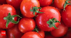 Read more about the article No respite, retail tomato price further shoots up to Rs 162/kg