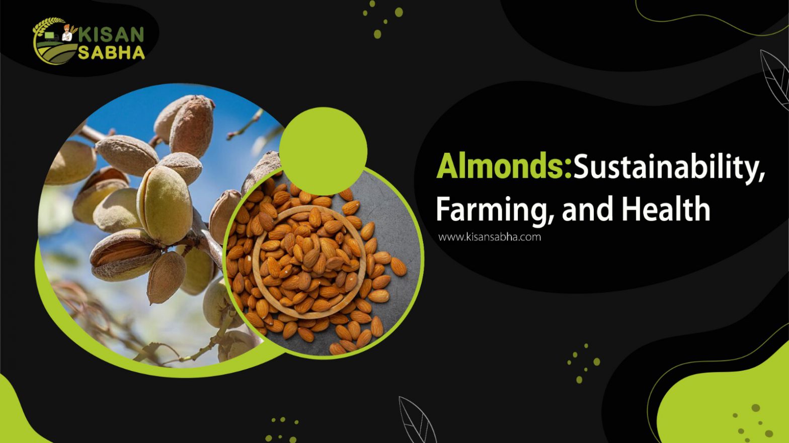 Almonds: Sustainability, Farming, and Health