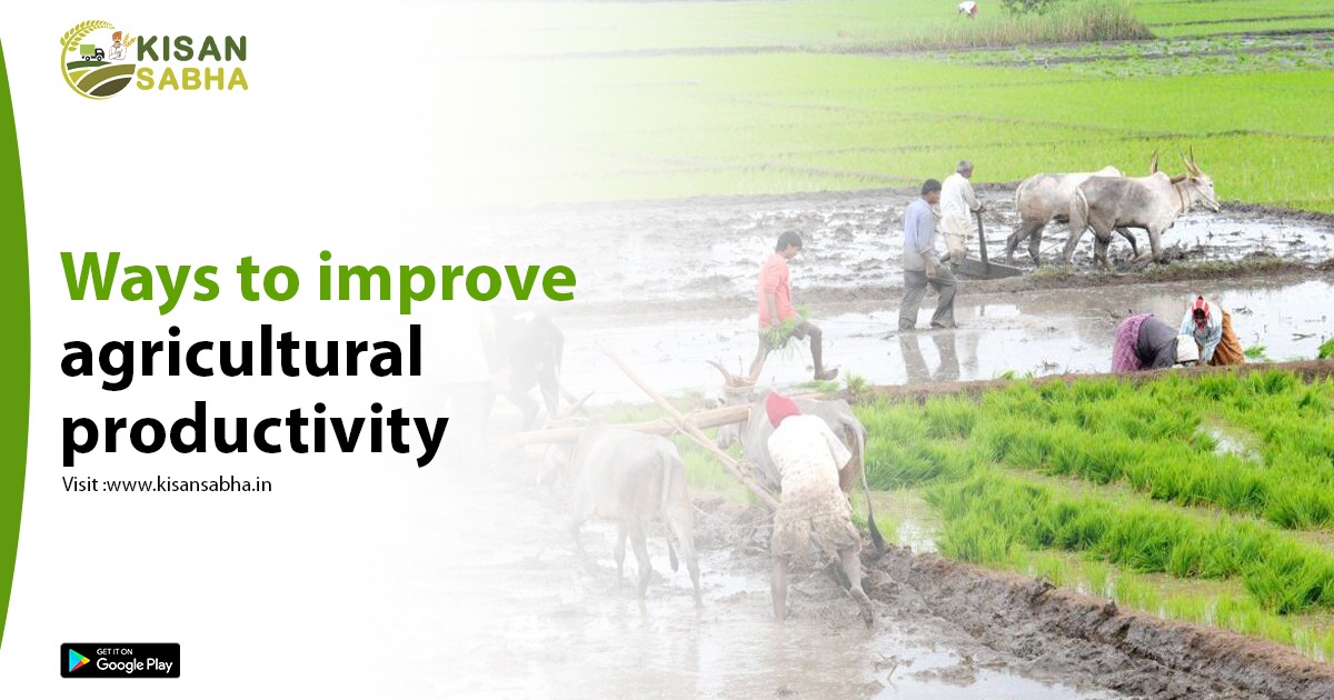 Ways to improve agricultural productivity