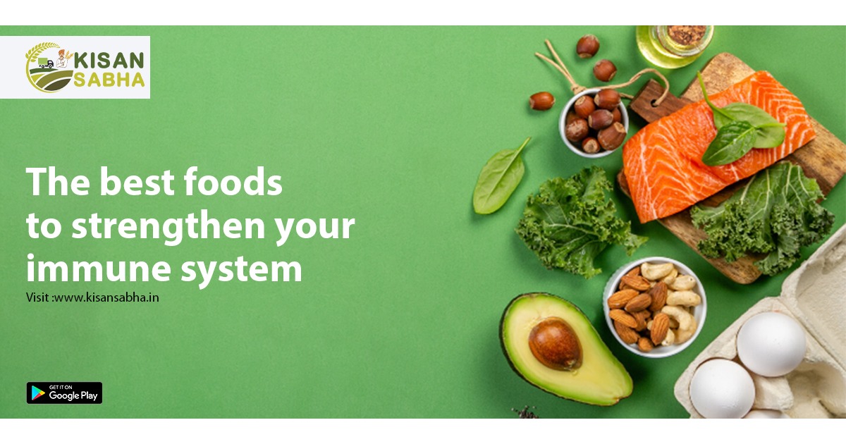 The best foods to strengthen your immune system