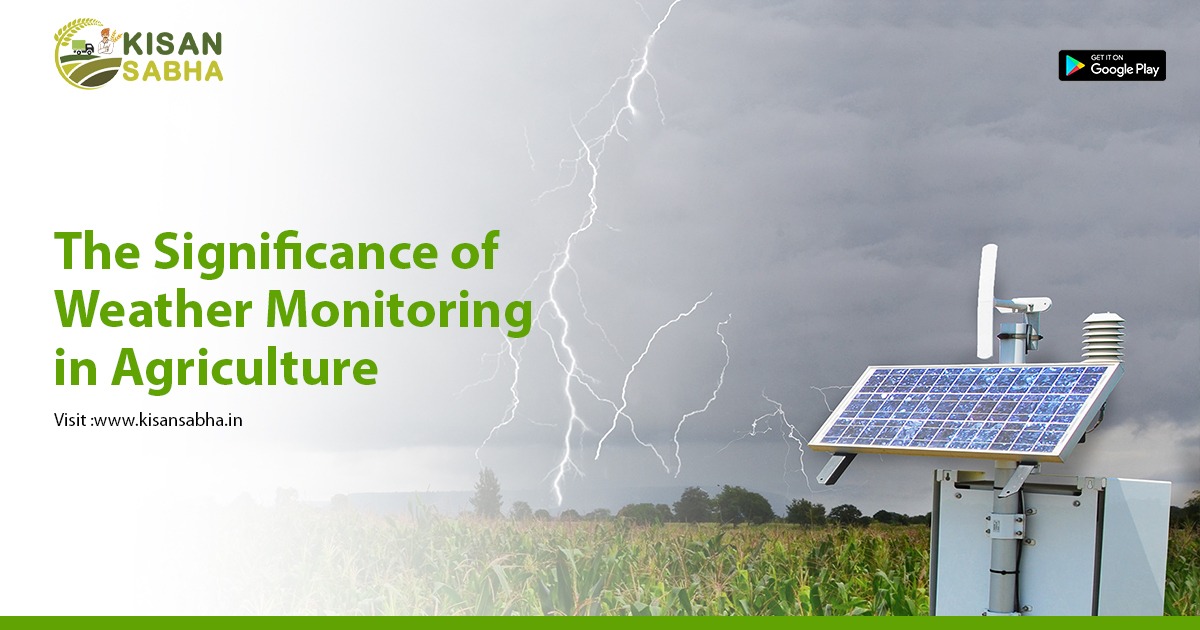 The Significance of Weather Monitoring in Agriculture