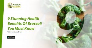 Read more about the article 9 Stunning Health Benefits Of Broccoli You Must Know