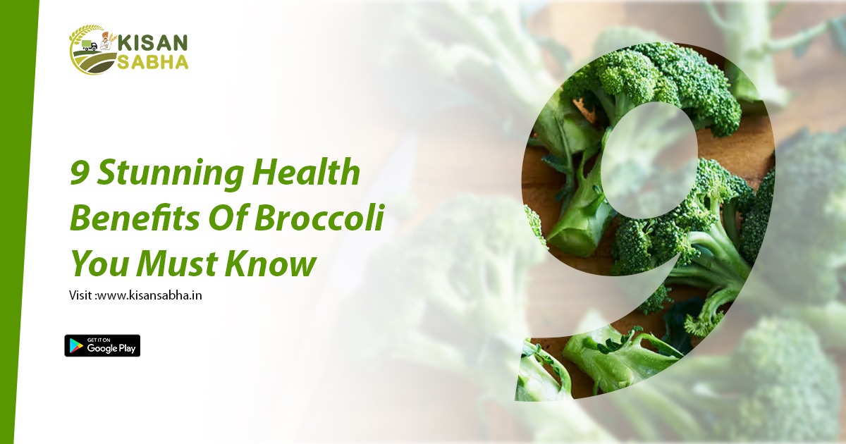 9 Stunning Health Benefits Of Broccoli You Must Know